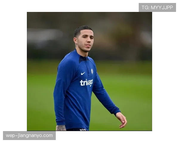 恩佐·费尔南德斯：亿元身价是否合理？关键数据与比赛影响解析